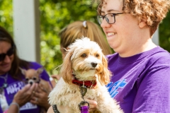August 25, 2019: Senators Katie Muth and Andy Dinniman joined animal advocates in Upper Merion yesterday for a rally to promote passage of “Victoria’s Law” that would prohibit the sale of dogs or cats in pet shops in an attempt to close puppy mills in Pennsylvania.