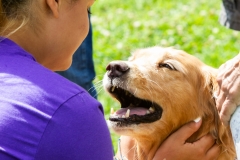 25 de agosto de 2019: Los senadores Katie Muth y Andy Dinniman se unieron ayer a los defensores de los animales en Upper Merion para una manifestación para promover la aprobación de la "Ley de Victoria" que prohibiría la venta de perros o gatos en tiendas de mascotas en un intento de cerrar las fábricas de cachorros en Pensilvania.