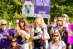 August 25, 2019: Senators Katie Muth and Andy Dinniman joined animal advocates in Upper Merion yesterday for a rally to promote passage of “Victoria’s Law” that would prohibit the sale of dogs or cats in pet shops in an attempt to close puppy mills in Pennsylvania.