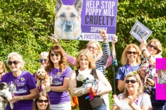 August 25, 2019: Senators Katie Muth and Andy Dinniman joined animal advocates in Upper Merion yesterday for a rally to promote passage of “Victoria’s Law” that would prohibit the sale of dogs or cats in pet shops in an attempt to close puppy mills in Pennsylvania.