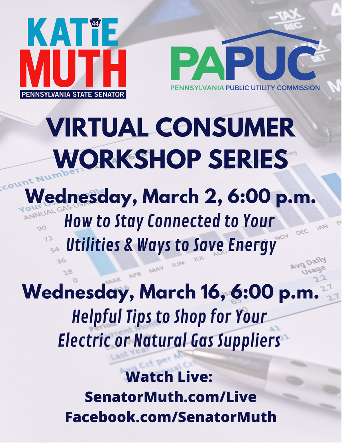 Virtual Consumer Workshop Series